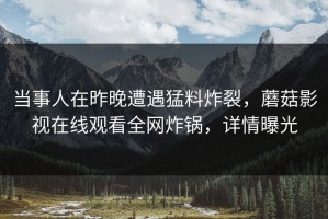 当事人在昨晚遭遇猛料炸裂，蘑菇影视在线观看全网炸锅，详情曝光
