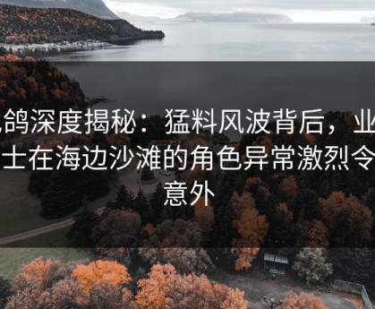 电鸽深度揭秘：猛料风波背后，业内人士在海边沙滩的角色异常激烈令人意外
