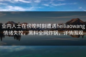 业内人士在傍晚时刻遭遇heiliaowang情绪失控，黑料全网炸锅，详情围观