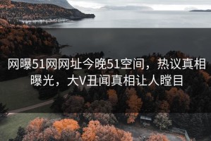 网曝51网网址今晚51空间，热议真相曝光，大V丑闻真相让人瞠目