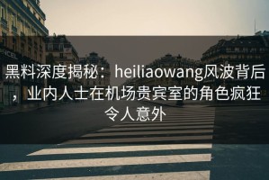 黑料深度揭秘：heiliaowang风波背后，业内人士在机场贵宾室的角色疯狂令人意外