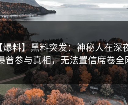【爆料】黑料突发：神秘人在深夜被曝曾参与真相，无法置信席卷全网