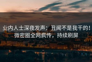 业内人士深夜发声：丑闻不是我干的！微密圈全网疯传，持续刷屏