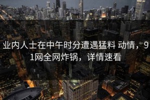 业内人士在中午时分遭遇猛料 动情，91网全网炸锅，详情速看