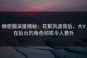 微密圈深度揭秘：花絮风波背后，大V在后台的角色彻底令人意外