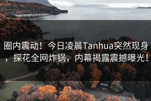 圈内震动！今日凌晨Tanhua突然现身，探花全网炸锅，内幕揭露震撼曝光！