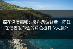 探花深度揭秘：爆料风波背后，网红在记者发布会的角色极其令人意外