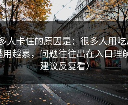 很多人卡住的原因是：很多人用吃瓜51越用越累，问题往往出在入口理解（建议反复看）