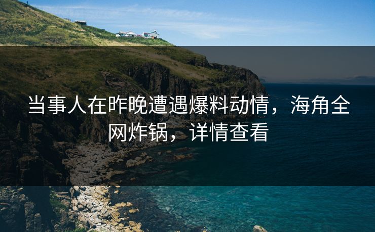 当事人在昨晚遭遇爆料动情，海角全网炸锅，详情查看