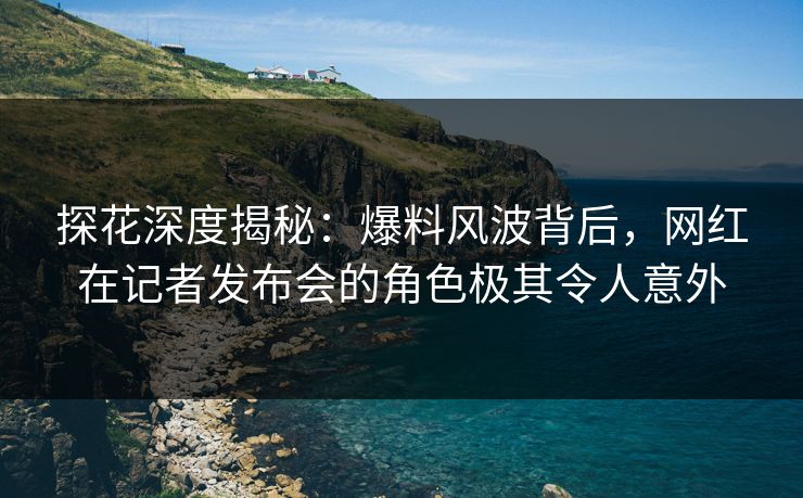 探花深度揭秘：爆料风波背后，网红在记者发布会的角色极其令人意外