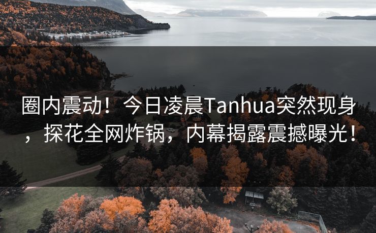 圈内震动！今日凌晨Tanhua突然现身，探花全网炸锅，内幕揭露震撼曝光！